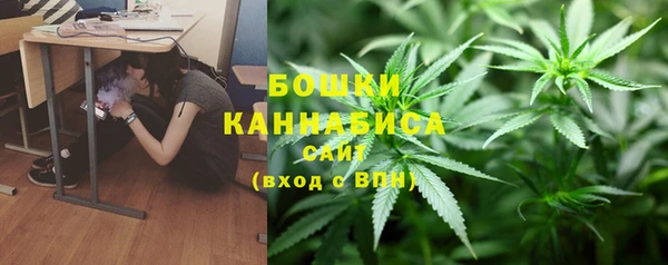 молекула духа Белокуриха