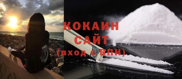 молекула духа Белокуриха