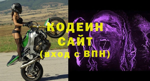 молекула духа Белокуриха