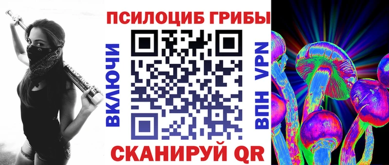 где можно купить наркотик  Полтавская  kraken онион  Псилоцибиновые грибы Psilocybine cubensis 