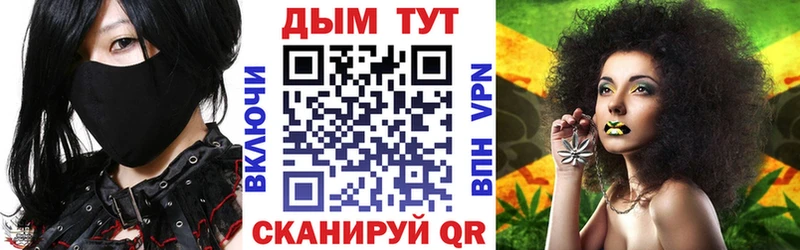 Бошки Шишки гибрид  Полтавская 